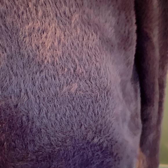 Sunday Best Kitten Sweater Violet Haze - Picture 5 of 5